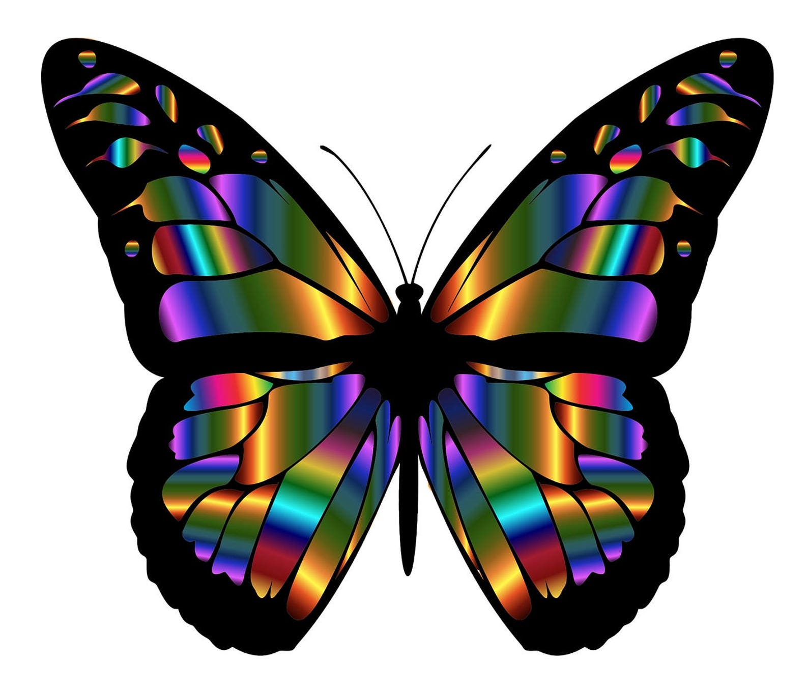 Красивые разноцветные бабочки