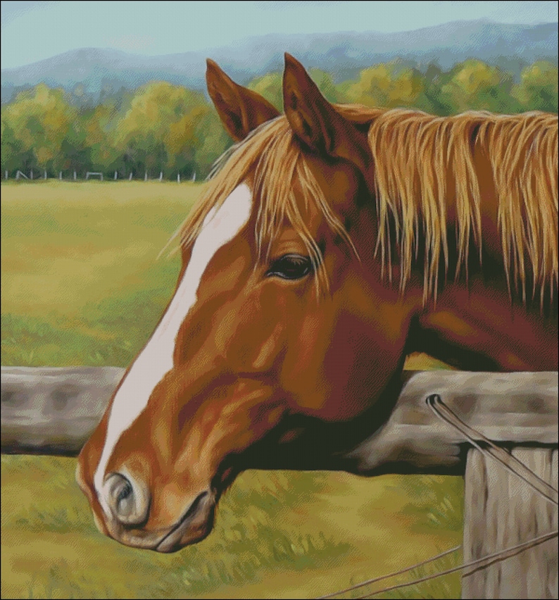 Sorrel quarter horse flaxen mane counted cross stitch pattern digital pdf