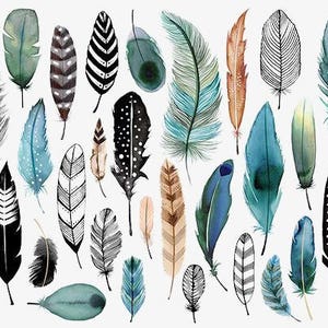 Feathers Cross Stitch Pattern: Colorful Bird Feather Design (PDF)
