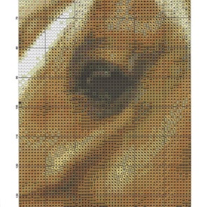 May include: Cross stitch pattern for a palomino horse's face. The pattern is in black and white and shows the horse's eye, nose, and mouth. The pattern is on a grid with numbers and letters.