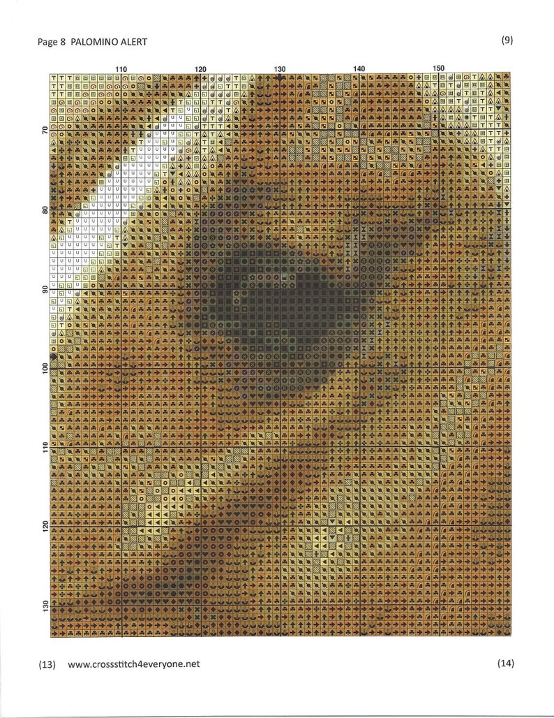 May include: Cross stitch pattern for a palomino horse's face. The pattern is in black and white and shows the horse's eye, nose, and mouth. The pattern is on a grid with numbers and letters.