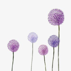 Purple Allium flowers wild garlic  onion blooms counted cross stitch pattern