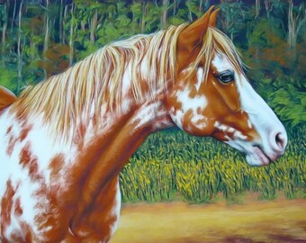 Colorful overo paint horse quarter counted cross stitch pattern digital pdf