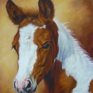 Colorful fancy paint horse foal counted cross stitch pattern digital pdf