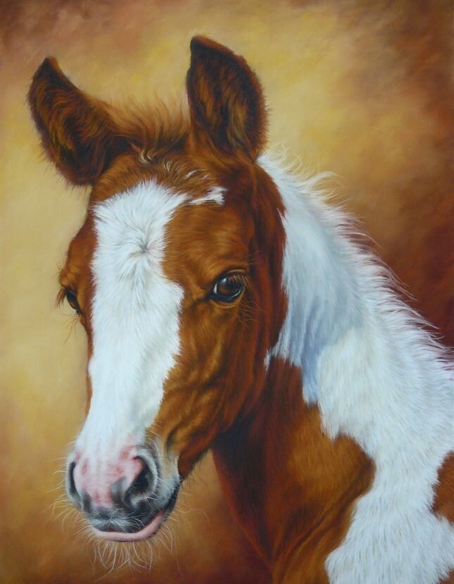 DIY Diamond Painting Horse Pony Art Decor, 25x30cm, Paint by