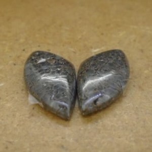 May include: Two gray, teardrop-shaped stones with a rough, textured surface.