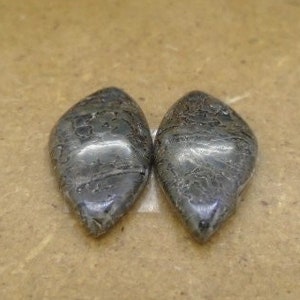 May include: Two dark gray, teardrop-shaped stones with a marbled pattern.