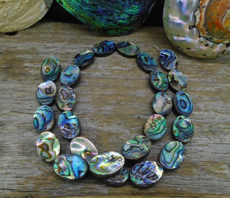 Set of 3 Top Drilled Shell Beads for Necklaces Natural Shell Charms Abalone Shell Pendants for Jewelry Making
