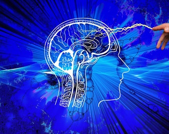 Introduzione al programma di pensiero, lettura e scrittura di Deb per studenti delle scuole medie (supplementi scuola domestica/scuola privata)