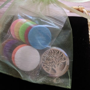 May include: A green organza bag filled with colorful round scented oil diffusers and a silver tree-shaped diffuser pendant.