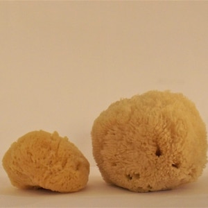 100% Natural Grass Sponge A Class from Greek Seas, Yellow Colour