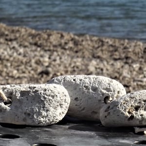 natural pumice stone with rope