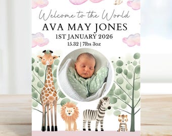 May include: A baby announcement card with the text "Welcome to the World" and the name "AVA MAY JONES". The card includes a photo of a newborn baby, a giraffe, lion, zebra, and tiger. The baby's birth date and weight are also listed.