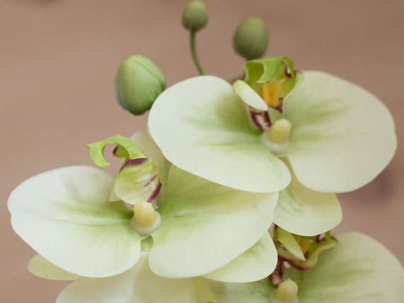 fresh feel orchid silk flower spray 25 artificial orchid etsy
