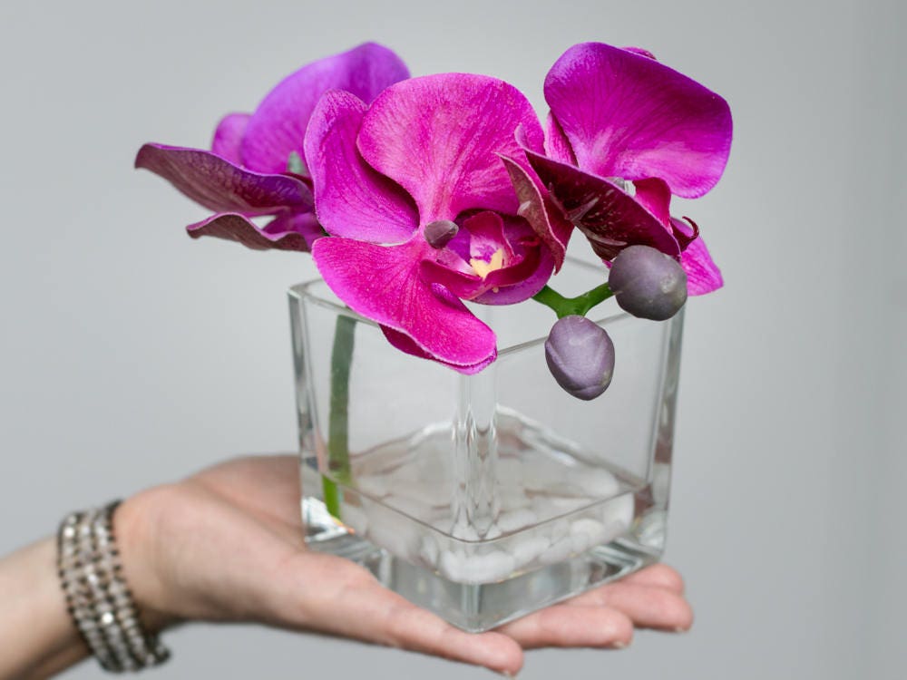 Fuchsia Orchid Flower Hotel Spa Decor Realistic Artificial Etsy