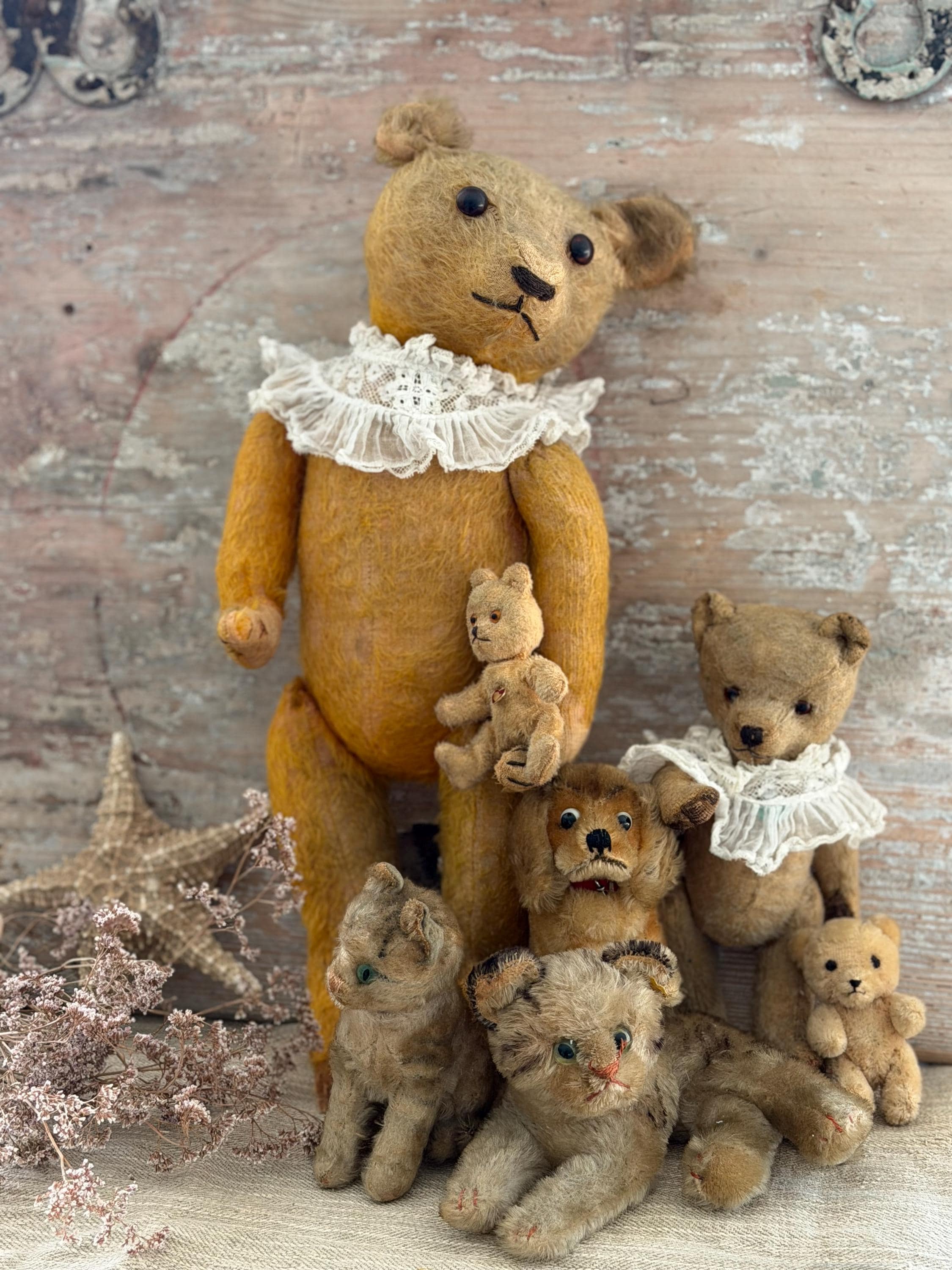 Antique bears - Etsy 日本