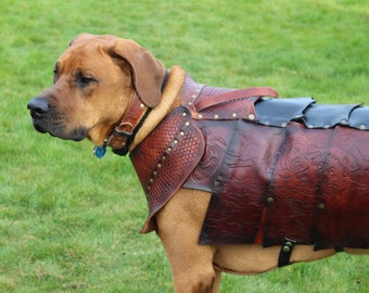 puppy armor