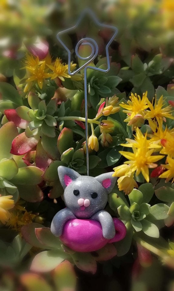 Porte Photos ou Porte Cartes Petit Chat Dans Sa Tasse