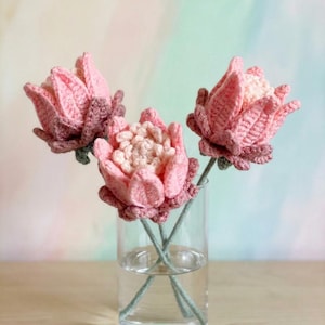 Protea Crochet Pattern