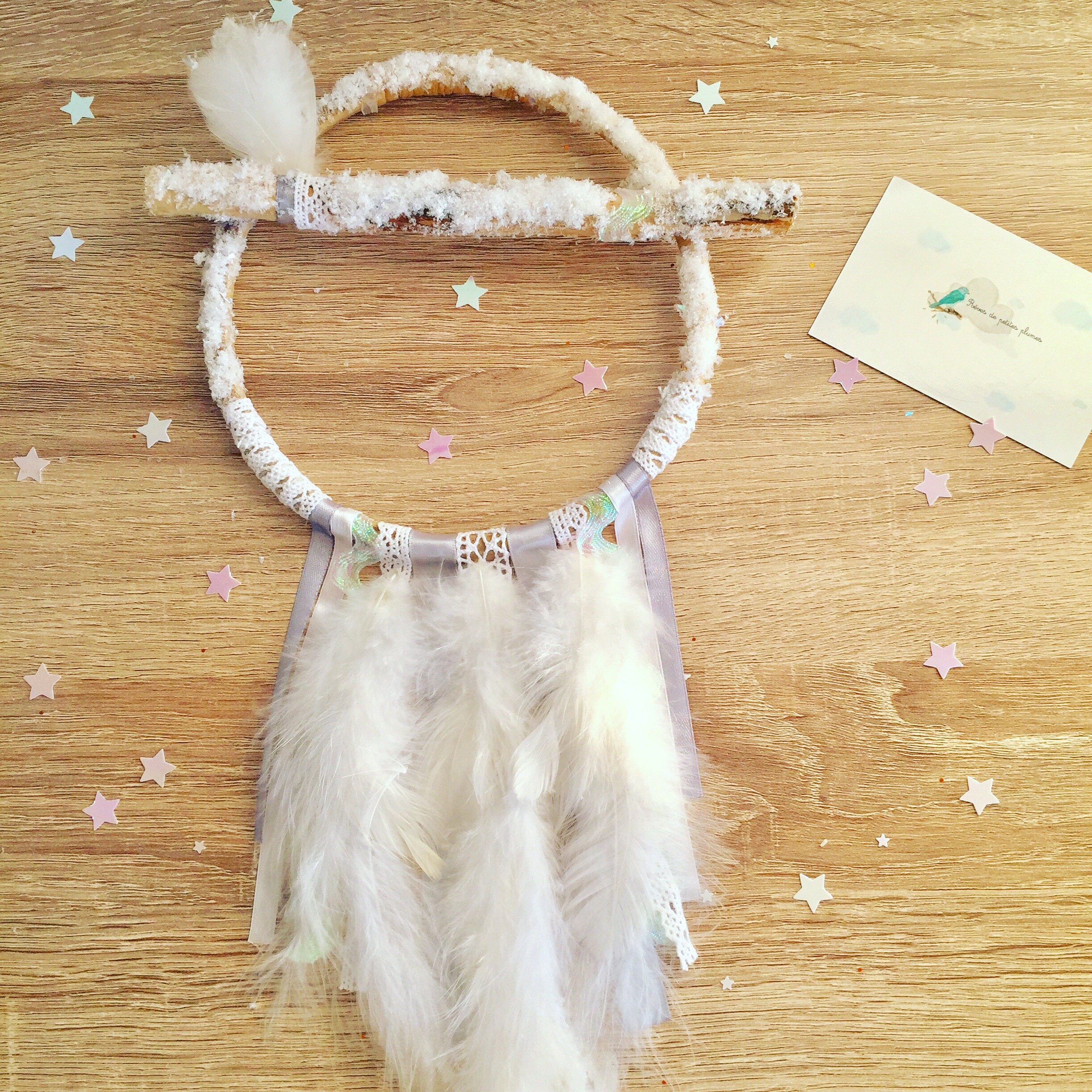 Attrape-Rêves Givré