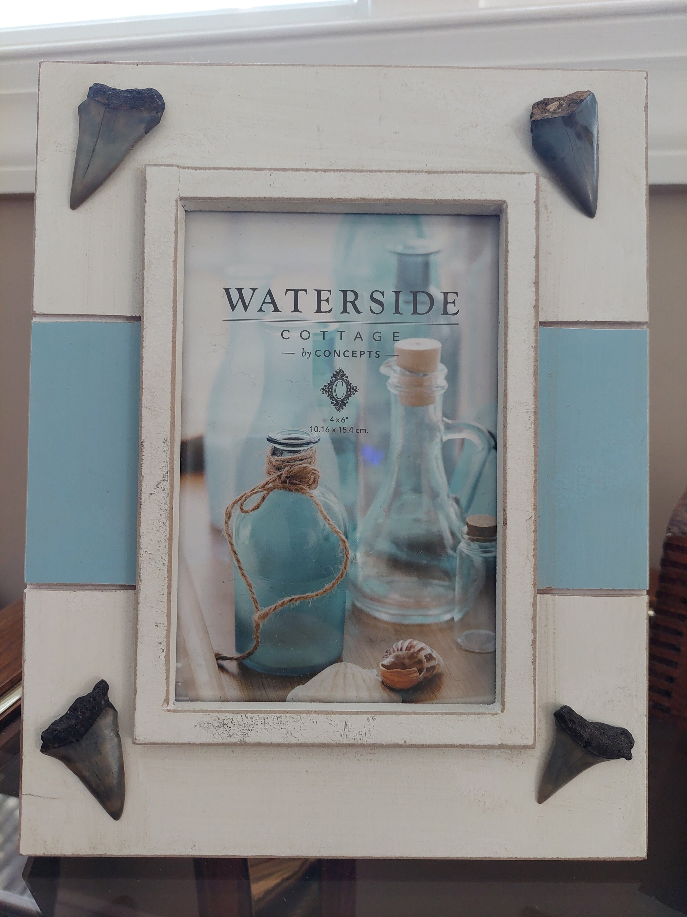 4x6 Beachy Coastal Picture Frame With Fossil Mako Shark Etsy