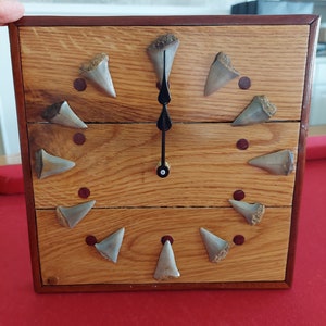 9.25" Wooden Wall Clock with Fossilized Mako Shark Teeth