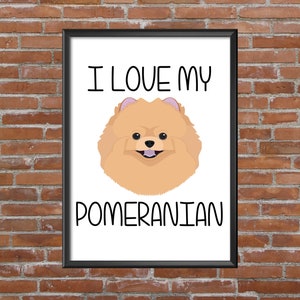 Framed Picture Pomeranian I Love My Pomeranian image 1