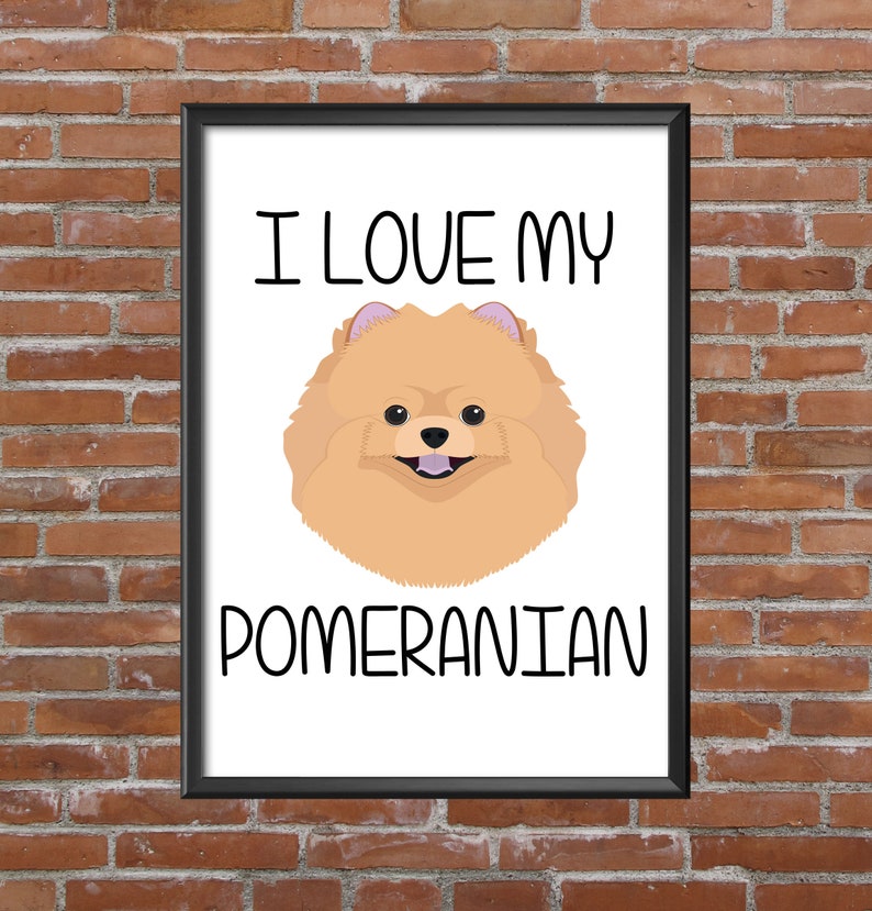Framed Picture Pomeranian I Love My Pomeranian image 1