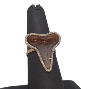 18K Gelbgold Diamant versteinerter Haifischzahn Statement Ring