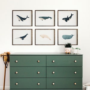 Set von 6 Wales Drucke, Meereskreaturen, Meerestiere Drucke, Wal Kinderzimmer Dekor, Wale Poster, Babyzimmer Dekor, digitaler Download