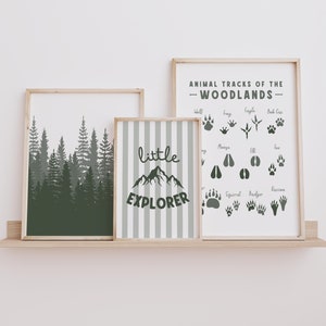 Woodland Kinderzimmer Dekor, 3er-Set Drucke, kleiner Entdecker Kunstwerk, Waldkindergarten Wandkunst, Lernmittel, Tierspuren, digitaler Download
