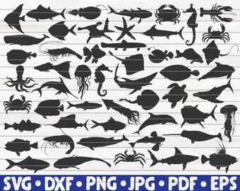 Download Ocean Fish Svg Etsy