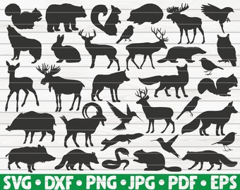 Download Forest Animals Svg Etsy
