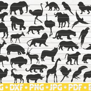 36 Afrikaanse dieren silhouetten / bestand knippen / cliparts / afdrukbare / vectoren / commercieel gebruik instant download