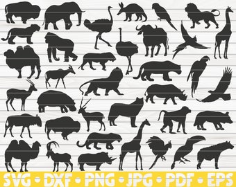 36 African Animals Silhouettes / Cut File / cliparts / printable / vectors / commercial use instant download