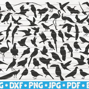 67 Silhouettes d'oiseaux / Cut File / cliparts / imprimables / vecteurs / téléchargement instantané à usage commercial