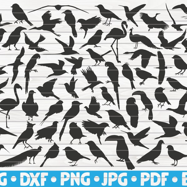 67 Vögel Silhouetten / ausgeschnittene Datei / Cliparts / printable / Vektoren / kommerzielle Nutzung sofort Download