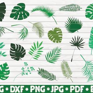 21 sagome di foglie tropicali / file di taglio / clipart / stampabili / vettori / download istantaneo per uso commerciale