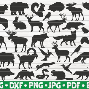 33 Silhuetas de animais da floresta / Uso comercial gratuito / Arquivos de corte para Cricut / cliparts / imprimíveis / vetores / download instantâneo