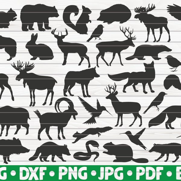 33 Silhouettes d'animaux de la forêt / Utilisation commerciale gratuite / Fichiers coupés pour Cricut / cliparts / imprimables / vecteurs / téléchargement instantané