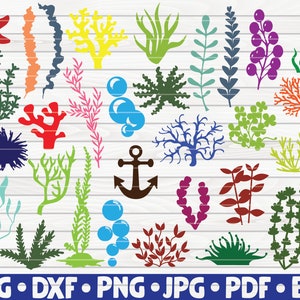 32 Ocean Elements silhouetten / gratis commercieel gebruik / cut-bestanden voor de Cricut / cliparts / afdrukbare / vectoren / instant download