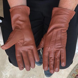 May include: A pair of brown leather gloves. The gloves are a warm, reddish-brown color and appear to be made of soft leather. The gloves have a classic design with individual fingers and a slightly extended cuff.