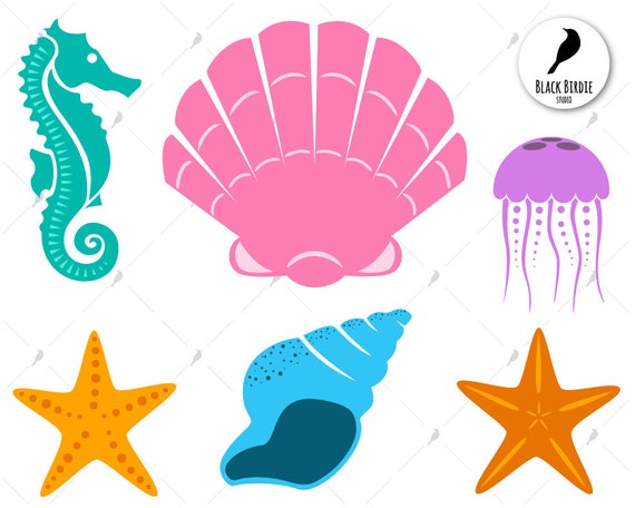 Download Sea shell svg sea shell clipart starfish svg seahorse svg ...