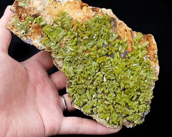 XL Green Pyromorphite Crystals Cluster on Mudstone Matrix from Daoping Mine, Guangxi, China