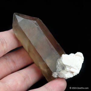 Può includere: Un grande cristallo di quarzo trasparente con una sfumatura marrone fumé. Il cristallo è terminato in punta e ha una base naturale e ruvida. Il cristallo è attaccato a un gruppo di cristalli di calcite bianchi.