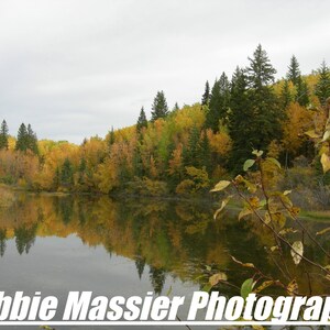 Photo Art Cards/Photo Art Prints/Weaselhead/Glenmore Reservoir/Calgary