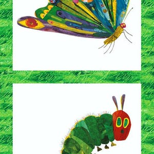 May include: A colorful illustration featuring a butterfly with blue, green, yellow, and red wings. Below, a green caterpillar with a red head and yellow eyes is depicted. The artwork is set against a white background with a green grass border.