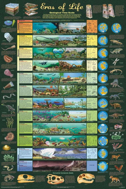 Eras Of Life Geological Time Scale eras-of-life-geological-time-scale