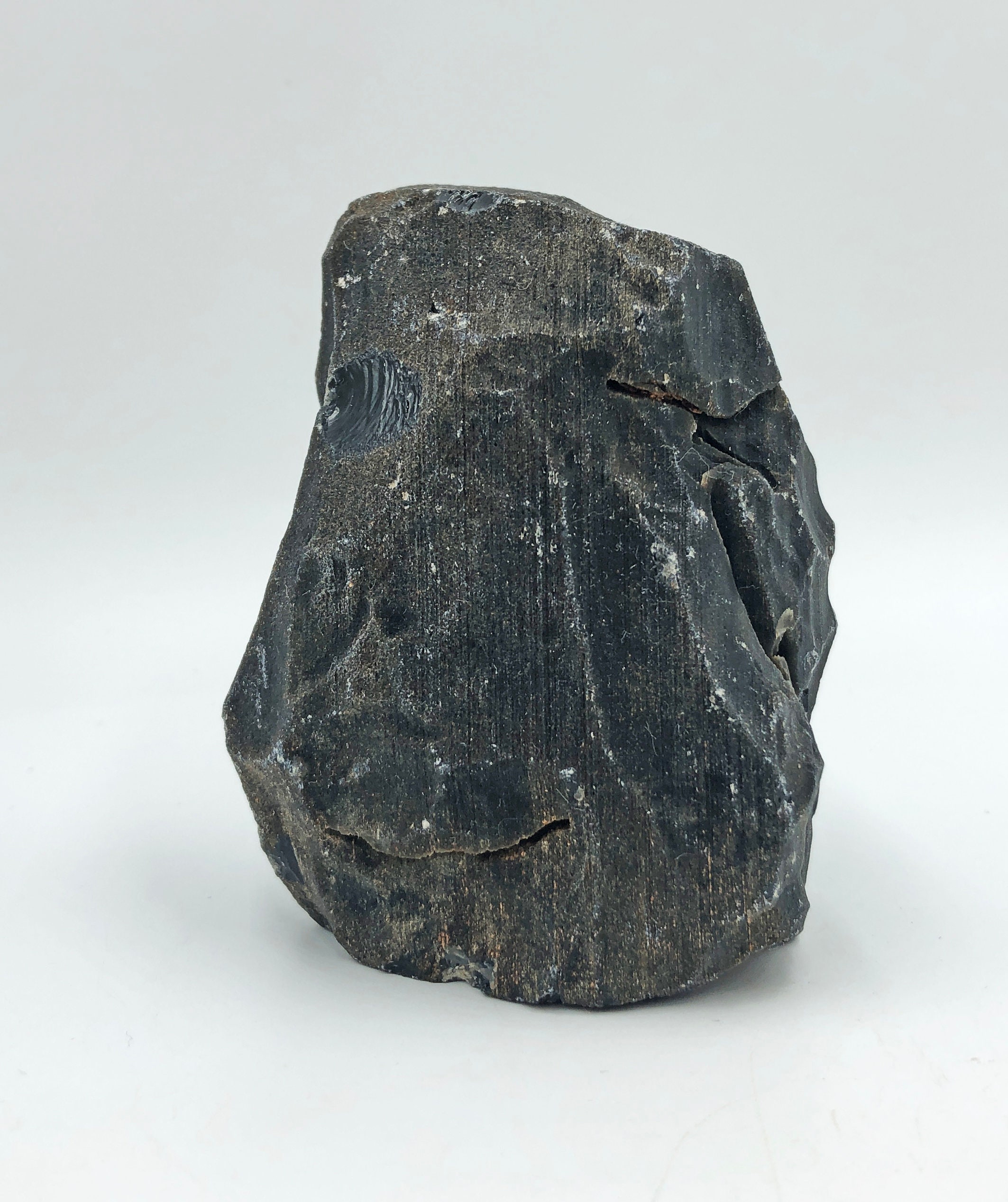 Cobble Creek: Chunk of Obsidian Raw Rough Natural from Mexico