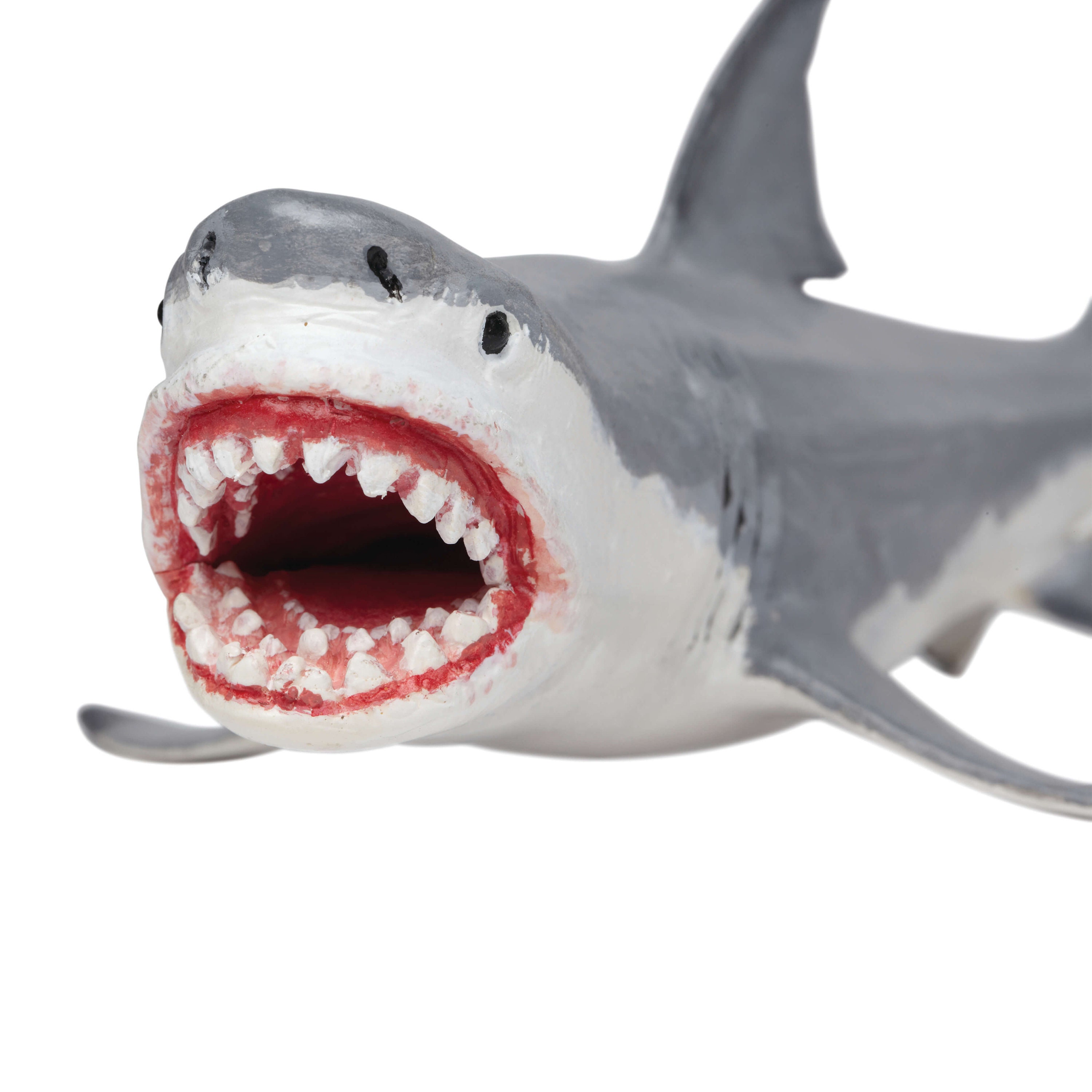 Megalodon Toy